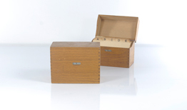 Globe Wernicke Card Box